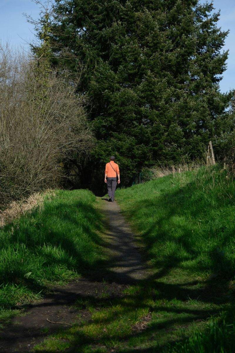 SpaziergangZauber - Image 11